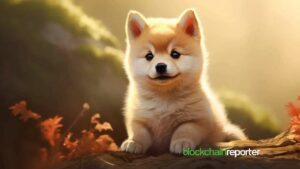 “إطلاق BabyDoge على نيكسو فيوتشرز برافعة تصل إلى 15 مرة – اكتشف المزيد الآن!”