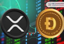 خبير اقتصادي يتوقع صعود هائل لعملة XRP مماثل لانفجار سعر Dogecoin: اكتشف الفرصة الآن!