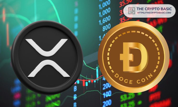 خبير اقتصادي يتوقع صعود هائل لعملة XRP مماثل لانفجار سعر Dogecoin: اكتشف الفرصة الآن!