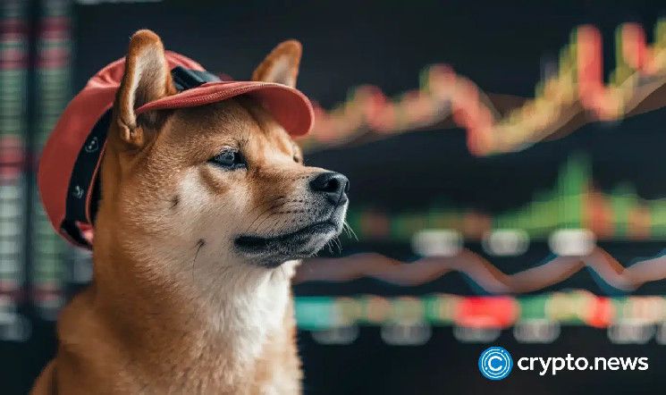 ارتفاع عملة Dogwifhat بنسبة 37% بعد إعلان Coinbase إدراج WIF - اكتشف المزيد الآن!