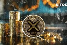 ما الذي يكشفه اهتمام المتداولين بـXRP عن اتجاه السعر؟ اكتشف المزيد!