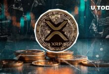 اكتشف رحلة XRP: هل سيعود إلى 2 دولار؟