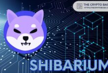 مطوّر Shiba Inu يعلّق على خطط Shibarium لدمج CCIP من Chainlink لتحسين التشغيل البيني بين السلاسل - اكتشف المزيد الآن!