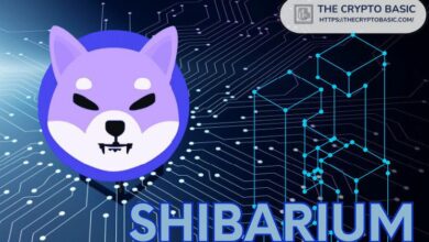 مطوّر Shiba Inu يعلّق على خطط Shibarium لدمج CCIP من Chainlink لتحسين التشغيل البيني بين السلاسل - اكتشف المزيد الآن!