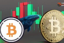 الحيتان تبيع WBTC للربح قبل ارتفاع BTC - اكتشف المزيد!