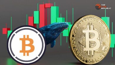 الحيتان تبيع WBTC للربح قبل ارتفاع BTC - اكتشف المزيد!