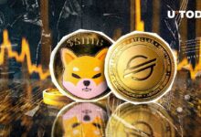 Stellar (XLM) تتفوق على Shiba Inu (SHIB) في القيمة السوقية - اكتشف التفاصيل!