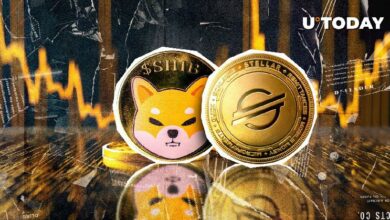 Stellar (XLM) تتفوق على Shiba Inu (SHIB) في القيمة السوقية - اكتشف التفاصيل!