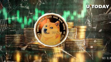 تحليل: نشاط الحيتان يرفع دوغ كوين (DOGE) بنسبة 957% في مؤشر صعودي رئيسي - اطلع على التفاصيل!