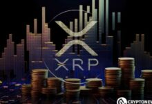 العوامل التي تؤجج التكهنات حول هدف XRP بقيمة 100 دولار - اكتشف الأسباب الآن!