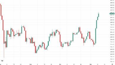 إيثير يتجاوز 3000 دولار ويعزز الزخم الصعودي بعد فوز ترامب بالانتخابات وخفض فائدة الفيدرالي - اكتشف التفاصيل الآن!