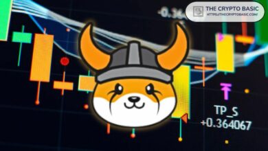 فلوكي يتطلع لارتفاع قياسي جديد بعد انتعاش بنسبة 128%: هل يكسر حاجز $0.0006؟ اقرأ الآن!