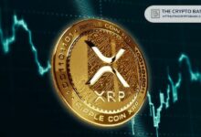 عارضة أزياء شهيرة تكشف عن امتلاكها لـ XRP وتتعهد بالدفاع عنه - اكتشف التفاصيل