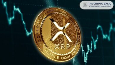 عارضة أزياء شهيرة تكشف عن امتلاكها لـ XRP وتتعهد بالدفاع عنه - اكتشف التفاصيل