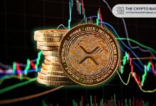 الخبراء يقولون: شراء XRP الآن لا يزال رخيصًا - اعرف لماذا تم اختياره قديماً!