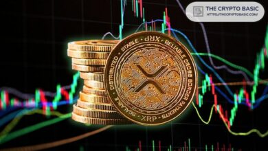 الخبراء يقولون: شراء XRP الآن لا يزال رخيصًا - اعرف لماذا تم اختياره قديماً!