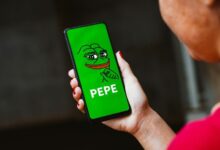 حوت يبيع 254 مليار من رموز PEPE وسط استمرار الهبوط؛ اكتشف التوقعات القادمة لسعر PEPE!