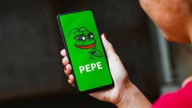 حوت يبيع 254 مليار من رموز PEPE وسط استمرار الهبوط؛ اكتشف التوقعات القادمة لسعر PEPE!