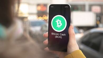 توقعات سعر بيتكوين كاش: هل سيتجاوز BCH المقاومة عند 500 دولار؟ اكتشف الآن!