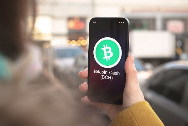 توقعات سعر بيتكوين كاش: هل سيتجاوز BCH المقاومة عند 500 دولار؟ اكتشف الآن!