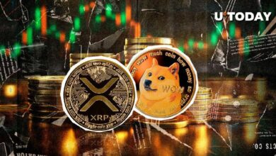 اكتشف كيف تفوقت DOGE وXRP على جميع العملات المشفرة!