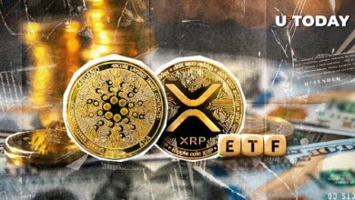 توقعات بإيداع صناديق XRP وADA المتداولة من قبل محلل بارز - اكتشف المزيد!