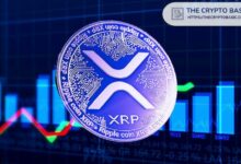 أنماط ما بعد النصف تؤكد: XRP تحتاج 7 أسابيع لبدء موجة الصعود - اكتشف التفاصيل!