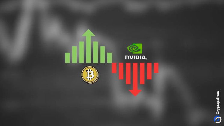 تراجع الأسهم بسبب نتائج Nvidia المخيبة، بينما بيتكوين يتحدى الاتجاه - اكتشف التفاصيل الآن