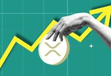 ارتفاع سعر XRP بنسبة 262% في 30 يومًا: هل سيتبعها تصحيح؟ اكتشف الآن!