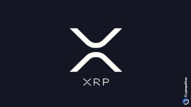 XRP يتفوق على BNB في القيمة السوقية بأكثر من 100 مليار دولار - اكتشف التفاصيل!