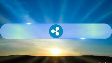 لماذا ارتفع سعر ريبل (XRP) إلى أعلى مستوى في 8 أشهر فوق 0.7 دولار وكيف يمكنك الاستفادة؟