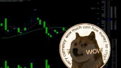 اكتشف لماذا يعتقد المحللون أن دوجكوين (DOGE) لديها فرصة للنمو المزيد