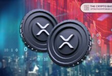 خبير يتوقع إشارات صعود XRP - اكتشف التفاصيل الآن!