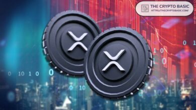 خبير يتوقع إشارات صعود XRP - اكتشف التفاصيل الآن!