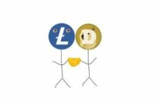 انطلاقة مذهلة لعملة Solana Meme Coin بتميمة Litecoin: القيمة السوقية تتجاوز 120 مليون دولار في أقل من 48 ساعة - اكتشف التفاصيل الآن!