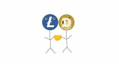 انطلاقة مذهلة لعملة Solana Meme Coin بتميمة Litecoin: القيمة السوقية تتجاوز 120 مليون دولار في أقل من 48 ساعة - اكتشف التفاصيل الآن!