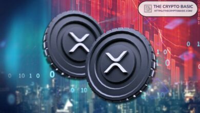 ارتفاع XRP لأعلى مستوى في 7 أشهر في الحسابات النشطة بينما تقوم الحيتان بجمع 390 مليون XRP خلال أسبوعين - اكتشف المزيد الآن!