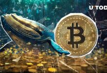 حوت بيتكوين جديد يولد مع تحويل 3,073 BTC – اكتشف التفاصيل الآن!