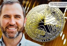 الرئيس التنفيذي لشركة Ripple يذكر XRP لأول مرة على BBC - اكتشف التفاصيل الآن!