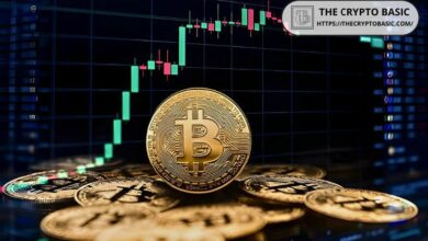 مدير تنفيذي في Bitwise: " حتى يصل البيتكوين إلى 500 ألف دولار، ما زال الوقت مبكرًا" - اكتشف المزيد!