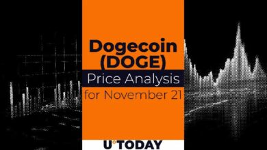 توقعات سعر DOGE لشهر نوفمبر 2021: هل ستستثمر الآن؟