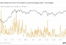 هبوط البيتكوين يوم الخميس يثير موجة بيع هلع بين المالكين قصيري الأجل: مقالة ضرورية للقراءة