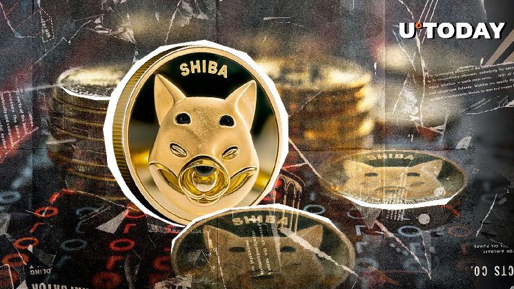 قفزة شيبا إينو (SHIB) بنسبة 81٪ تعزز مكانته بين نخبة العملات الرقمية – اكتشف التحولات المثيرة!