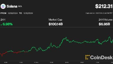 سولانا تنضم لنادي الـ100 مليار دولار، تصل لأعلى سعر منذ ثلاث سنوات فوق 210 دولار - اكتشف الآن!