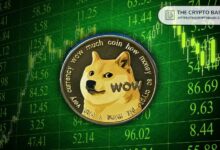 محلل بلومبرغ يكشف عن أفضل موعد لتقديم طلب صندوق Dogecoin المتداول. اقرأ الآن!