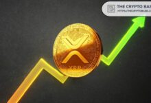 خبير يتوقع موعد ارتفاع سعر XRP من 5 دولارات إلى 30 دولارًا - اكتشف التوقعات الآن!