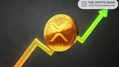 خبير يتوقع موعد ارتفاع سعر XRP من 5 دولارات إلى 30 دولارًا - اكتشف التوقعات الآن!