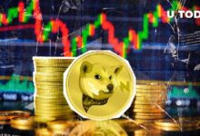 منافس Shiba Inu العملة NEIRO يتصاعد بأكثر من 18% بعد إدراجها على Coinbase - اكتشف المزيد الآن!