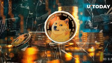 دوجكوين (DOGE) تخسر 150 دولار وتظل متفائلة، إليك التفاصيل