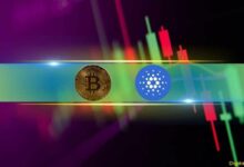 كاردانو (ADA) يرتفع بنسبة 14% وبيتكوين (BTC) يحافظ على 93 ألف دولار بعد تسجيل أعلى مستوى تاريخي (مراقبة السوق) - اكتشف التفاصيل!